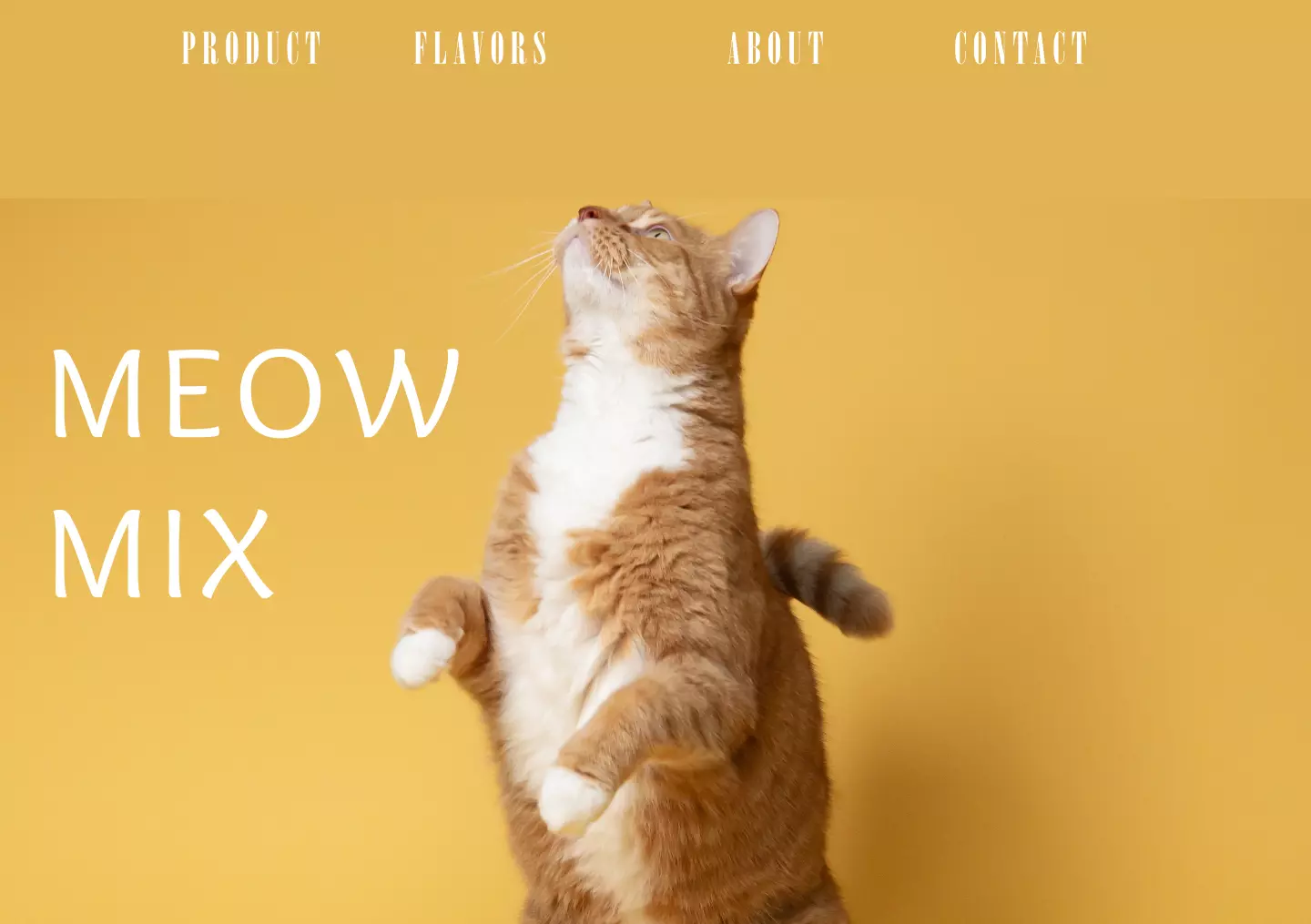 mockup design of a website
